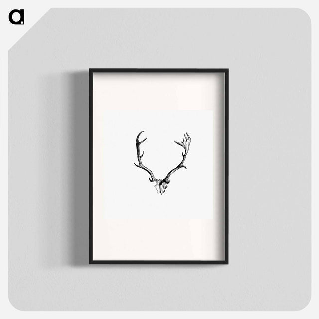 アートポスター-Deer Skull with Horns
 - 大英図書館 Poster.