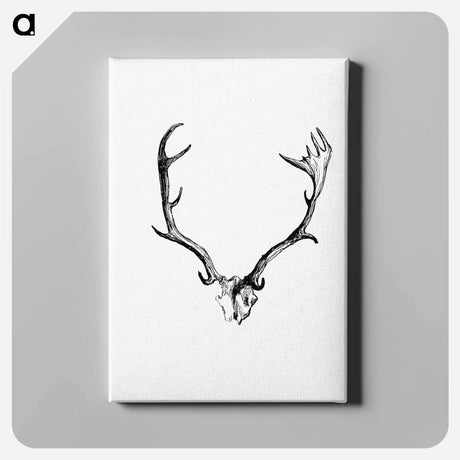 アートパネル-Deer Skull with Horns
 - 大英図書館 Canvas.