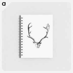 アートメモ帳-Deer Skull with Horns
 - 大英図書館 Memo.