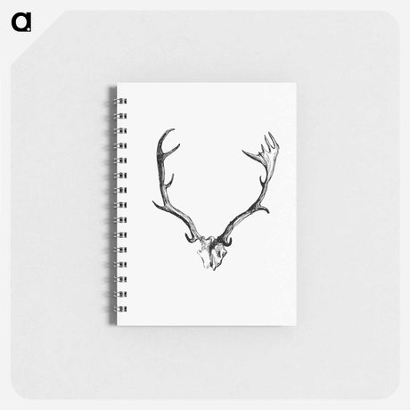 アートメモ帳-Deer Skull with Horns
 - 大英図書館 Memo.