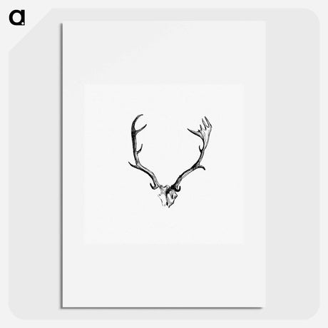 アートポスター-Deer Skull with Horns
 - 大英図書館 Poster.