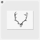 アートポストカード-Deer Skull with Horns
 - 大英図書館 Postcard.