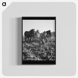 2-33_Dorothea-Lange_blk-crop