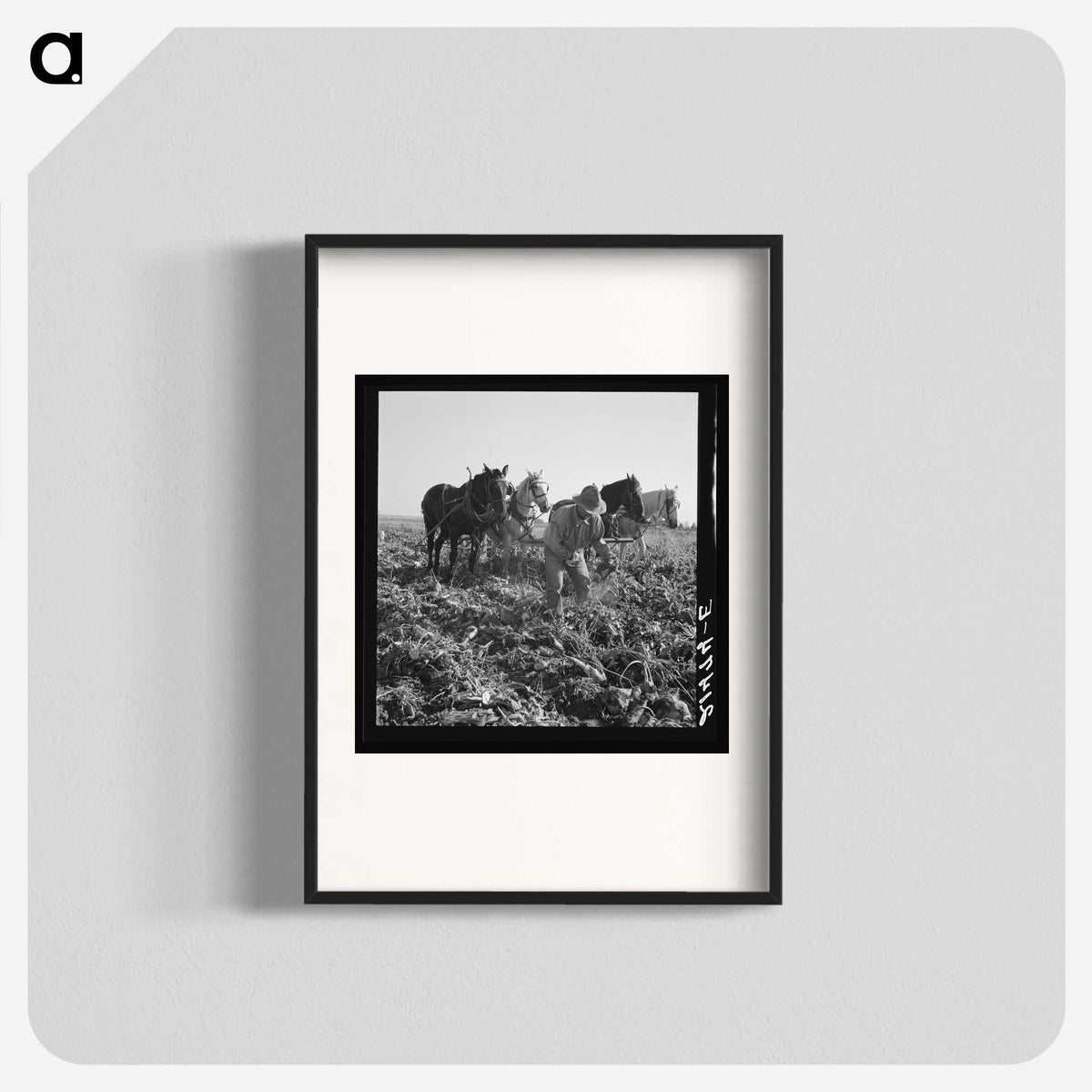 2-33_Dorothea-Lange_blk