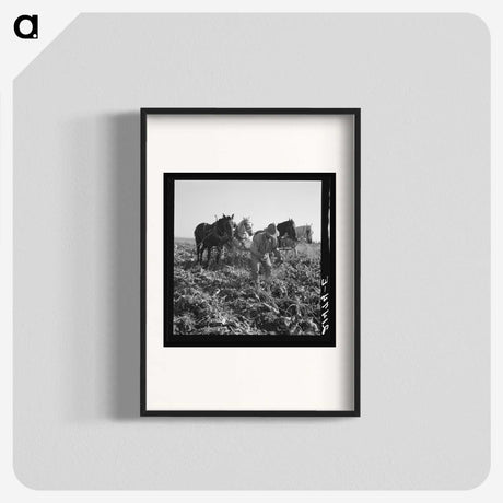 2-33_Dorothea-Lange_blk