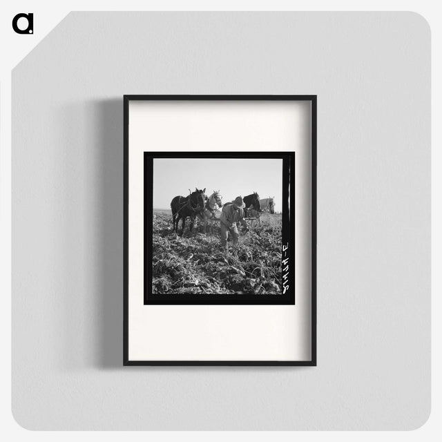 2-33_Dorothea-Lange_blk