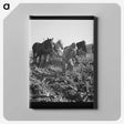 2-33_Dorothea-Lange_canvas