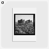 2-33_Dorothea-Lange_hagaki