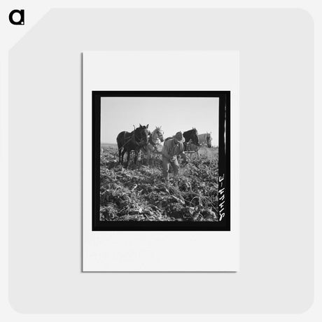 2-33_Dorothea-Lange_hagaki