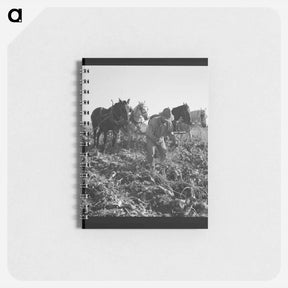 アートメモ帳-Untitled photo - ドロテア ラング Memo.
