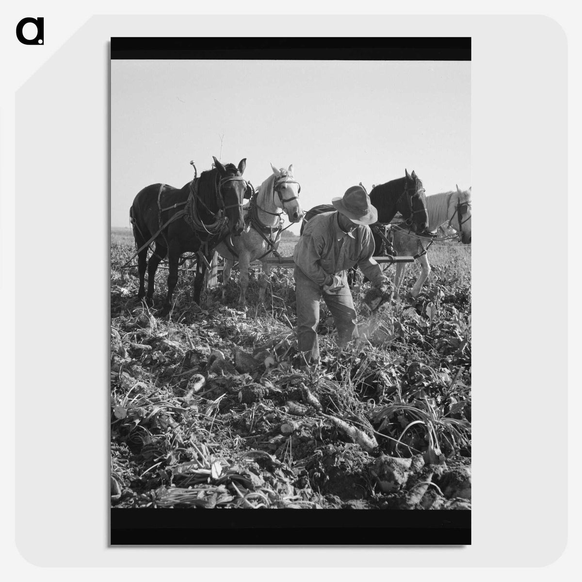 2-33_Dorothea-Lange_picture-crop