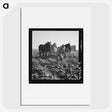 2-33_Dorothea-Lange_picture