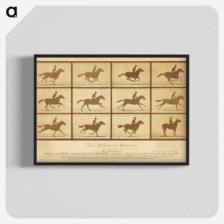 2-33_Eadweard-Muybridge_blk-crop