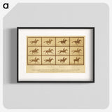 2-33_Eadweard-Muybridge_blk