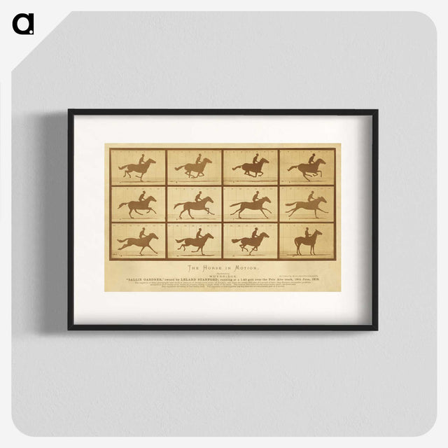 2-33_Eadweard-Muybridge_blk
