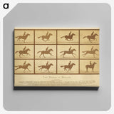 2-33_Eadweard-Muybridge_canvas