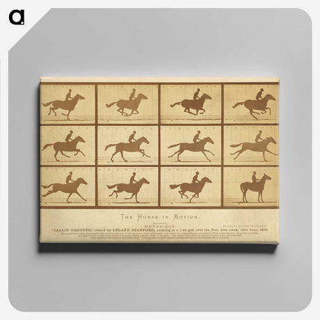 2-33_Eadweard-Muybridge_canvas
