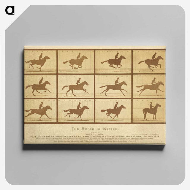 2-33_Eadweard-Muybridge_canvas