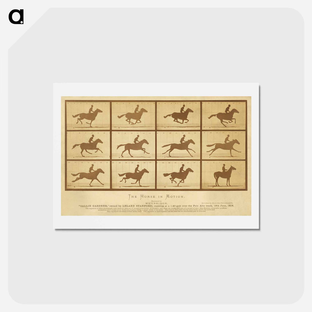 アートポストカード-The Horse in Motion
 - エドワード マイブリッジ Postcard.