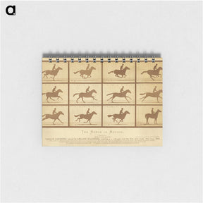 2-33_Eadweard-Muybridge_memo
