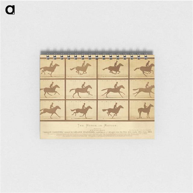 2-33_Eadweard-Muybridge_memo