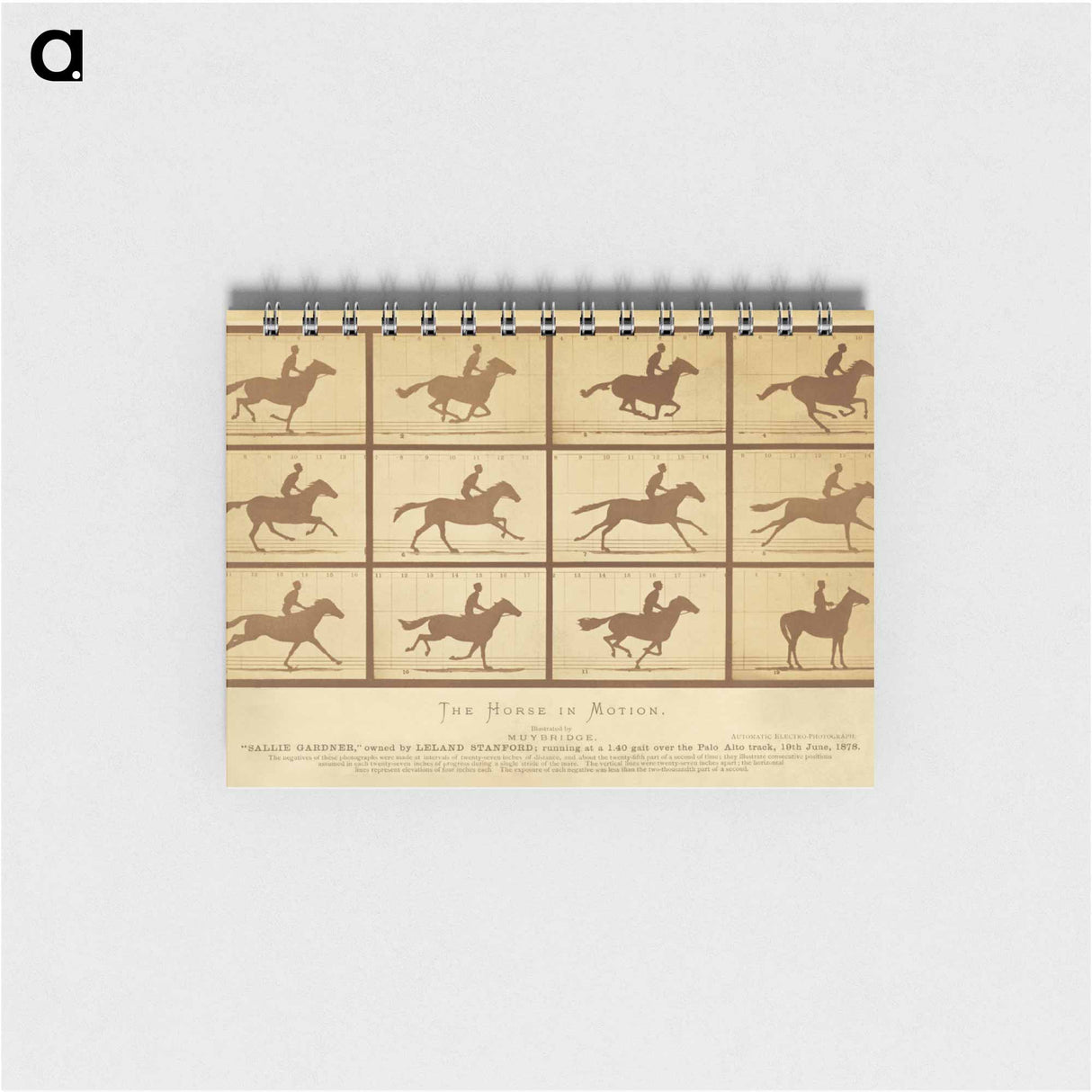 アートメモ帳-The Horse in Motion
 - エドワード マイブリッジ Memo.