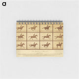 アートメモ帳-The Horse in Motion
 - エドワード マイブリッジ Memo.