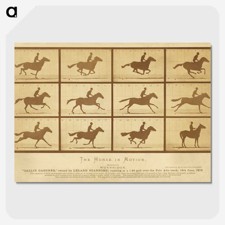 2-33_Eadweard-Muybridge_picture-crop