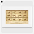 2-33_Eadweard-Muybridge_picture