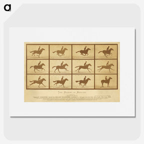 2-33_Eadweard-Muybridge_picture