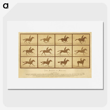 2-33_Eadweard-Muybridge_picture