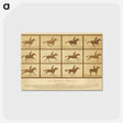 2-33_Eadweard-Muybridge_postcard