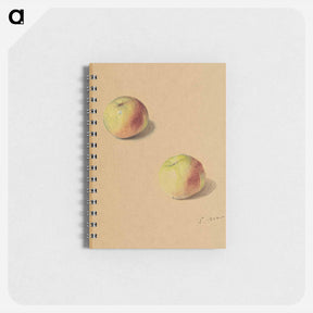 アートメモ帳-Two Apples - エドゥアール マネ Memo.