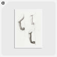 アートポストカード-Studies of an Arm and Hands - エドワード バーン ジョーンズ Postcard.