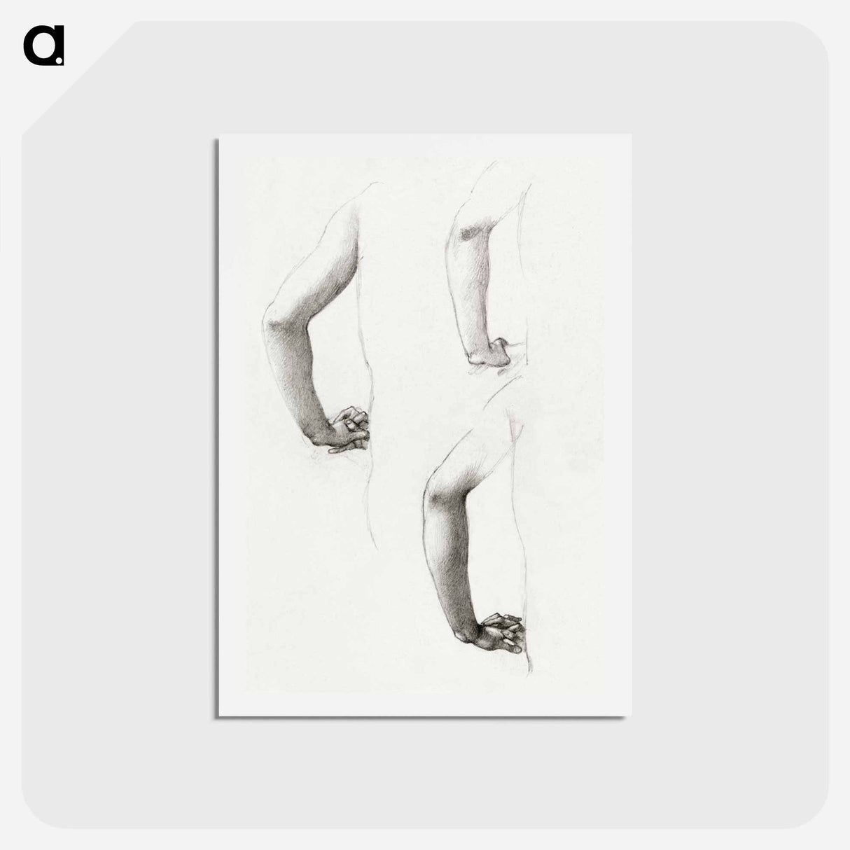 アートポストカード-Studies of an Arm and Hands - エドワード バーン ジョーンズ Postcard.