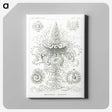 2-33_Ernst-Haeckel_canvas