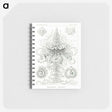 2-33_Ernst-Haeckel_memo