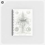 2-33_Ernst-Haeckel_memo