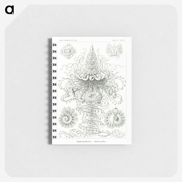2-33_Ernst-Haeckel_memo
