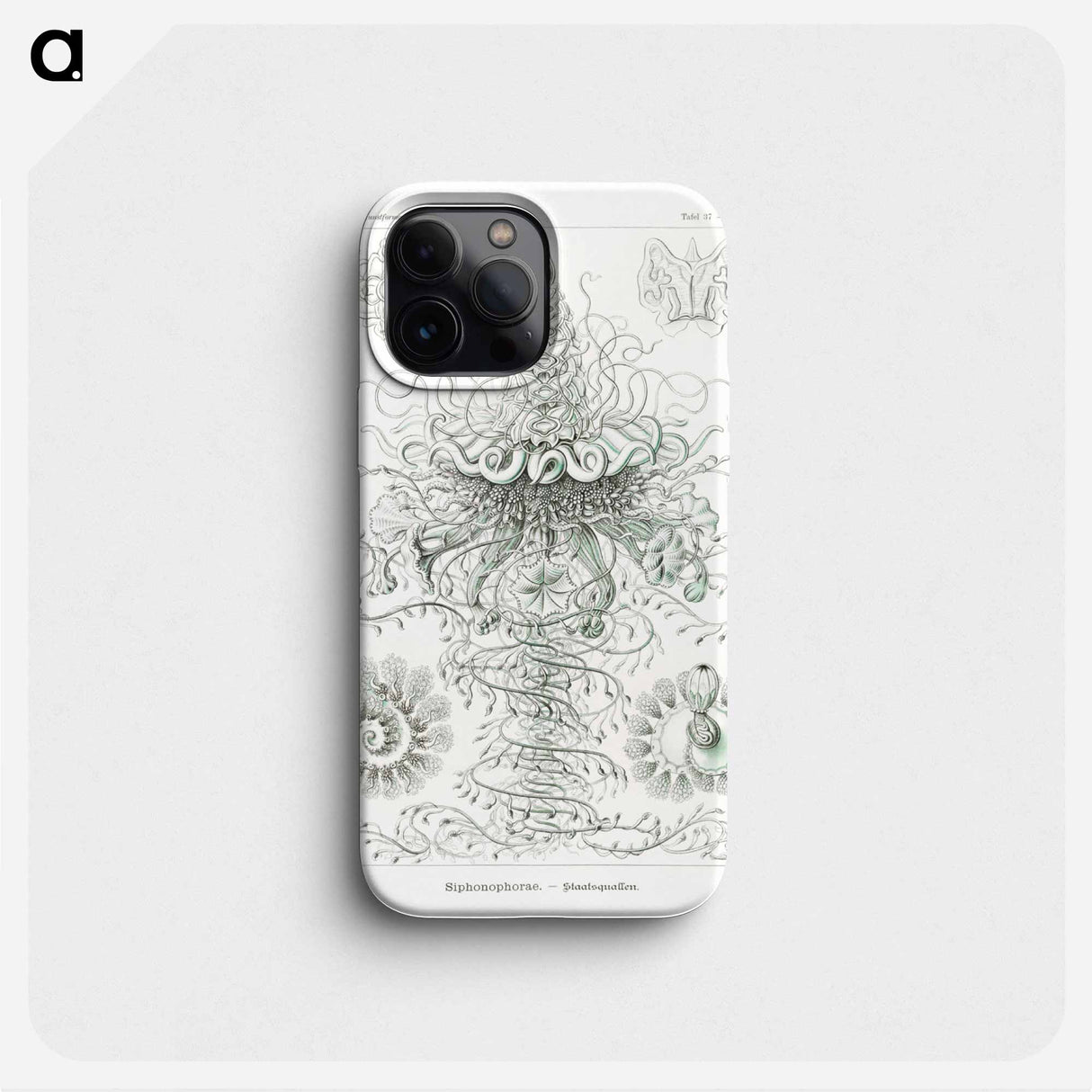 Siphonophorae–Staatsquallen - エルンスト ヘッケル Phone Case.