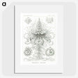 2-33_Ernst-Haeckel_picture