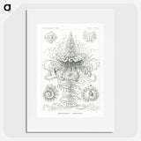 2-33_Ernst-Haeckel_picture