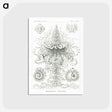 2-33_Ernst-Haeckel_postcard