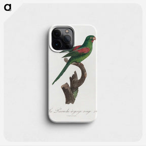 2-33_Francois-Levaillant_phone