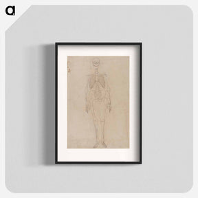 アートポスター-Human Skeleton, Anterior View
 - ジョージ スタッブス Poster.