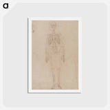 アートポストカード-Human Skeleton, Anterior View
 - ジョージ スタッブス Postcard.