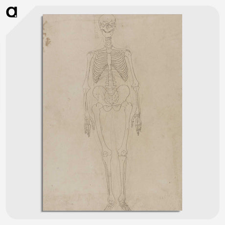 2-33_George-Stubbs_picture-crop