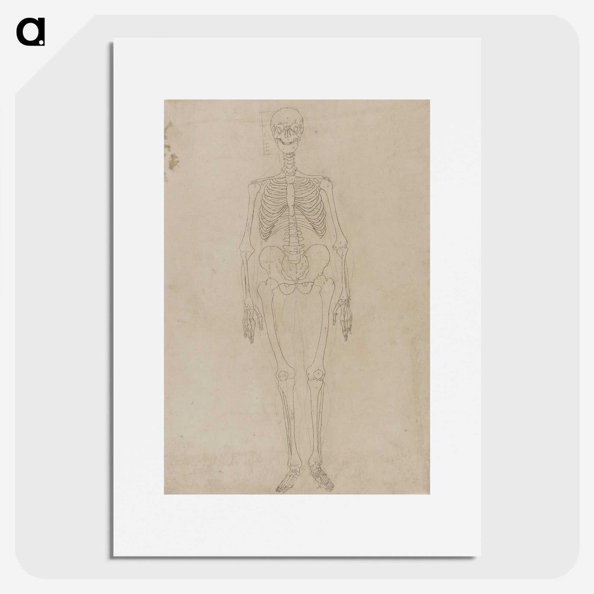 2-33_George-Stubbs_picture