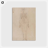 アートポストカード-Human Skeleton, Anterior View
 - ジョージ スタッブス Postcard.