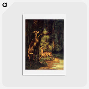 アートポストカード-Male and Female Deer in the Woods - ギュスターヴ クールベ Postcard.